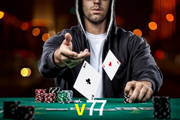 v77,v77.com